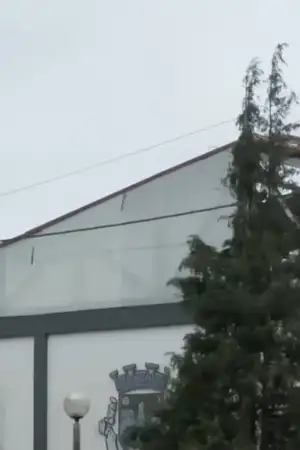 Soure perde 65% da rede elétrica e enfrenta destruição generalizada devido à depressão Kristin